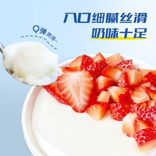 鲜窝窝xian wo wo 双皮奶粉500g 自制免煮双皮奶粉港式甜品奶茶布丁烘焙原料 双皮奶粉500g