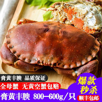 海唤 HAIHUAN 海唤 英国鲜活熟冻面包蟹 800-600g/只 袋装