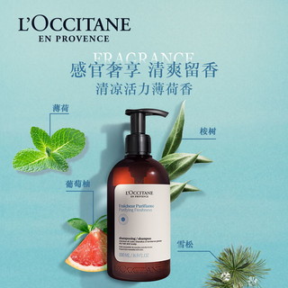 88VIP：L'OCCITANE 欧舒丹 草本香菁纯纯净洗发露500ml洗发水75ml*3瓶