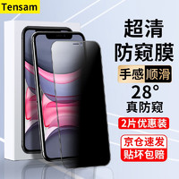 Tensam 适用苹果11/XR防窥钢化膜全屏贴合手机膜防爆覆盖保护贴膜 苹果11/XR2片