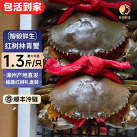 【包活】福建青蟹东山岛膏蟹红树林鲜活红鲟特大母蟹海鲜黄油蟹 公蟹【2~3只】 1斤