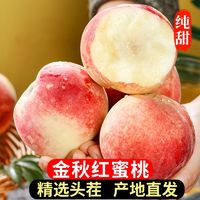 百亿补贴：盈羽 山东金秋红蜜桃子4.5斤单果160g起毛桃脆桃新鲜当季水果