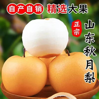 水果蔬菜 羊脂秋月梨 4.5-5斤装（单果250g+）