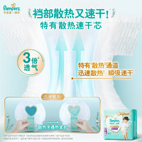 Pampers 帮宝适 一级帮拉拉裤小包装L+15片