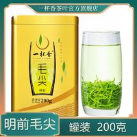 一杯香 毛尖2024新茶明前茶叶绿茶礼盒装信阳特产春茶散装自己喝