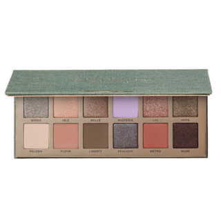 ANASTASIA Beverly Hills 有效期到25年2月ABH娜悠沃眼影盘12色哑光珠光百搭自然绿野仙踪盘