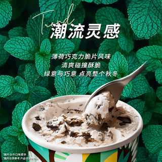 哈根达斯 Häagen·Dazs Haagen-Dazs）薄荷巧克力脆皮脆片风味冰淇淋100ml