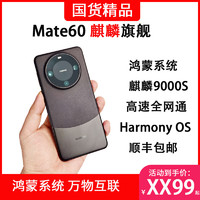 HI NOVAMate 60麒麟9000S鸿蒙支持NEXT遥遥手机 雅丹黑 环保版无充电器12GB+256GB