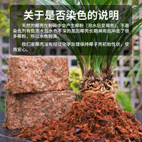 粗椰壳砖兰花土营养土天然大块脱盐椰砖兰科石斛兰通用椰糠土