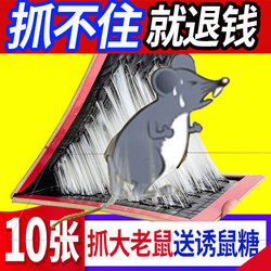 节青 粘鼠板超强力老鼠贴胶黏沾加大加厚灭鼠神器正品药家用一窝端10张