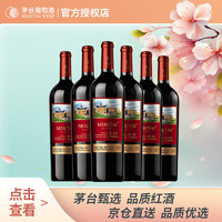 MOUTAI 茅台 新经典干红葡萄酒·红标 750ml*6瓶  整箱装