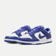 NIKE 耐克 DUNK LOW RETRO 男子运动鞋 DV0833-103