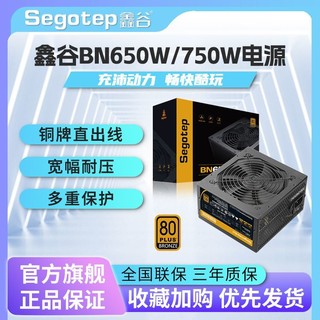 百亿补贴：Segotep 鑫谷 BN650W/750W铜牌直出台式机电脑电源电竞游戏静音主机电源