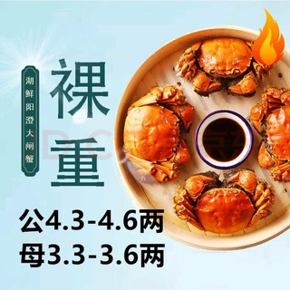 HUXIANYANGCHENG 湖鲜阳澄 大闸蟹 去绳足重 公4.3-4.6两母3.3-3.6两4对8只 鲜活现货螃蟹礼盒装