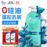 海飞丝 去屑0硅油洗发水 650ml+赠京东家政 2小时+止痒去屑洗发水80g