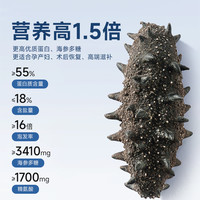 【国标16倍泡发淡干海参500g】大连野生参辽刺参海生干货礼盒