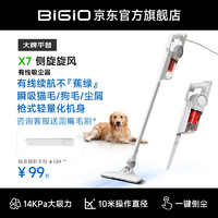 百吉诺(BIGIO)吸尘器家用手持大吸力吸尘器床上大功率清洁宠物毛发多功能吸尘器 标准版