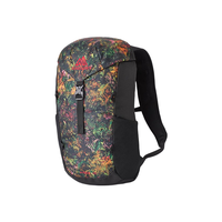 GREGORY 格里高利 蜂鸟系列 Nano 16 中性旅行双肩包 热带雨林 16L