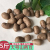 半亩庄园大号山药豆新鲜颗粒铁棍山药豆农家山药蛋糖葫芦5斤 5斤【直径1.2cm以上】