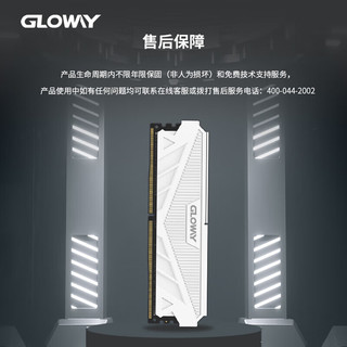 光威（Gloway）32GB DDR4 2666 台式机内存条 天策系列 长鑫颗粒