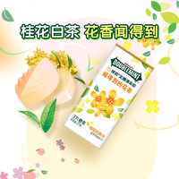 88VIP：DOUBLEMINT 绿箭 WRIGLEY’S DOUBLEMINT 绿箭 无糖薄荷糖 桂花白茶味 27g 2件