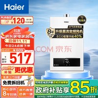 Haier 海尔 JSQ22-12UTSDMWM 燃气热水器 白色 12L