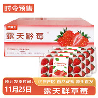 京鲜生 黔莓大凉山露天草莓2.4斤 新鲜水果源头直发 300g*4盒(15-20粒/盒)