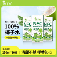 椰小帽 NFC椰子水250ml*10瓶