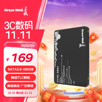 Great Wall 长城 480GB SSD固态硬盘 SATA3.0接口 读速520MB/S