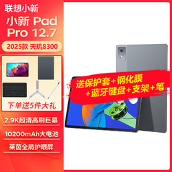 Lenovo 联想 平板电脑小新Pad Pro 12.7英寸安卓二合一学生学习游戏2.9K大屏天玑8300丨8+256G 大象灰