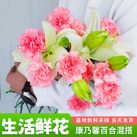 love 钟爱 鲜花云南昆明基地直发鲜切花家庭水养插花康乃馨百合混搭花束 双色20支康乃馨+随机颜色百合5朵