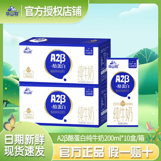 华山牧 8月华山牧A2β酪蛋白纯牛奶200ml*10盒*2箱营养纯奶