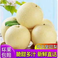 美得乐 河北皇冠梨 5斤中果（单果200g）