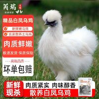 百亿补贴：芮瑞 农家散养乌鸡正宗新鲜现杀乌鸡土鸡整只1.9斤老母鸡煲汤炖汤