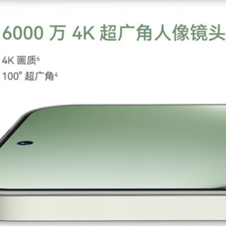 HUAWEI 华为 nova 13 手机 256GB 洛登绿