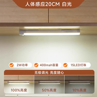 卡希妮 led 橱柜灯 200mm 白光 人体感应 充电款 光控 常亮