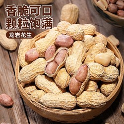 bi bi zan 比比赞 龙岩花生 蒜香味 500g