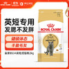 ROYAL CANIN 皇家 BS34 英国短毛猫粮 2kg