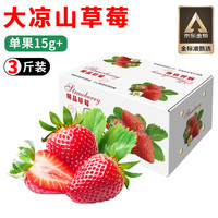 沙窝曙光大凉山草莓99红颜草莓奶油草莓甜现摘应季新鲜时令水果生鲜 四川大凉山草莓3斤装单果15g起