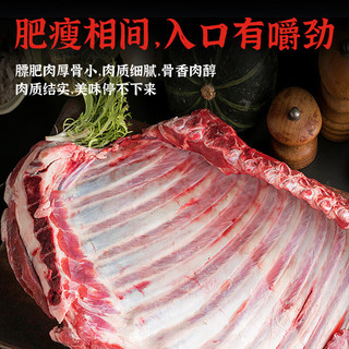 鲁禧海岸新西兰羊排切块 手把肉羊肉烧烤炖煮食材 净重1kg  源头直发 羊排1kg