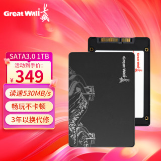 Great Wall 长城 SSD固态硬盘 SATA3.0接口 S300系列  1TB SATA3.0固态硬盘