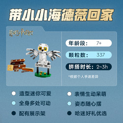 LEGO 乐高 女贞路4号海德薇 76425 拼插积木玩具