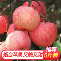 移动端、京东百亿补贴：饭小鲜 山东红富士苹果 80-85mm 5斤