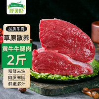 呼贝伦 祁连山黄牛肉新鲜现杀牛腿肉1000g原切烧烤食材 源头直发