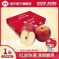 【佳农】云南昭通红露苹果冰糖心丑苹果4.8斤装当季新鲜水果