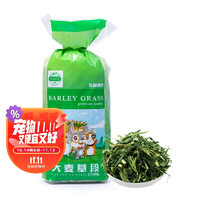 JESSIE 洁西 大麦草段250g 兔草兔子粮食饲料牧草干草豚鼠龙猫粮宠物用品