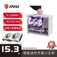 百亿补贴：MSI 微星 i5 12600KF/RX 6750GRE白色台式迷你电脑主机便携提手DIY整机