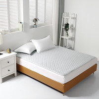 HOME 乐优家 N99抗菌抗病毒防护床护垫