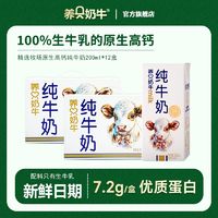 养只奶牛纯牛奶4箱3.6g蛋白高钙整箱早餐全脂牛奶