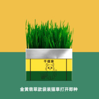 千僖宠 猫草盆栽种子水培化毛草猫薄荷小麦猫咪零食用品种植植物小零食